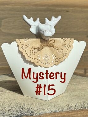 Mystery Jewelry Box #15 - Price Firm
